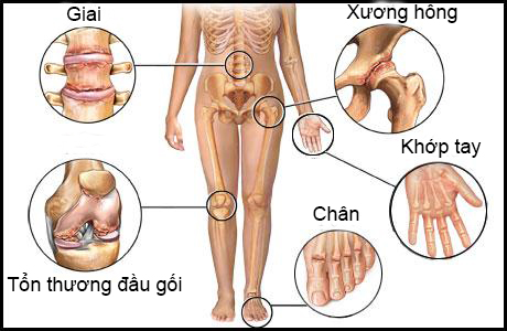 Công dụng của hạt chia đối với xương khớp