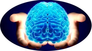 cách dùng hạt chia tốt cho não