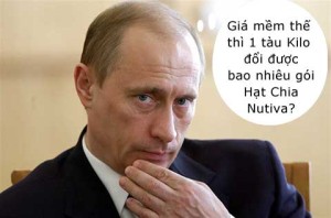 Giá hạt chia Nutiva tại TpHCM 2015